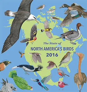 sotb2016 cover 72 ppi 4.2 x 4.4