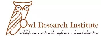 Logo Owl Research Institute (96 dpi)