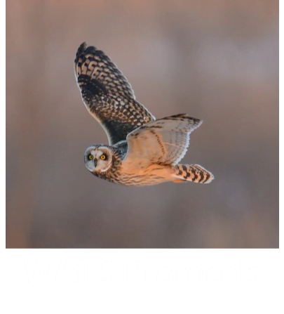 WAfLS Protocols