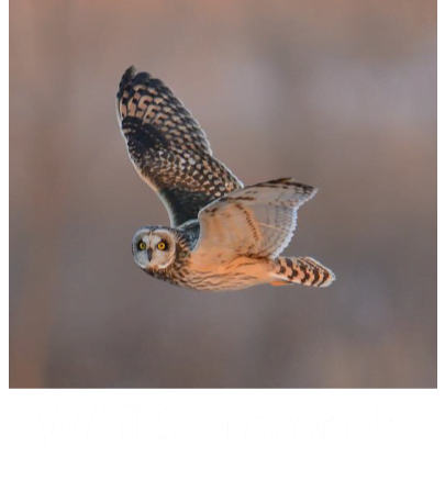 WAfLS Protocols