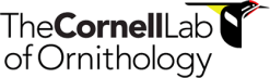 The Cornell Lab of Ornithology